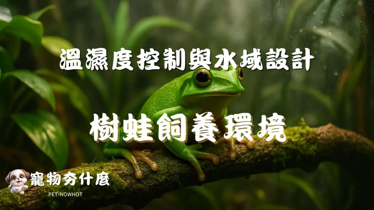 樹蛙飼養環境