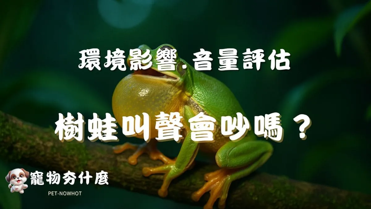 樹蛙叫聲會吵嗎？