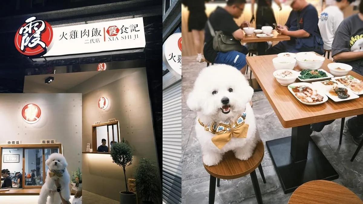 嘉義「霞食記」阿霞火雞肉飯二代店