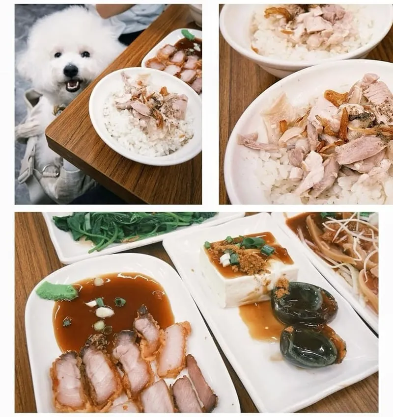 嘉義「霞食記」阿霞火雞肉飯二代店