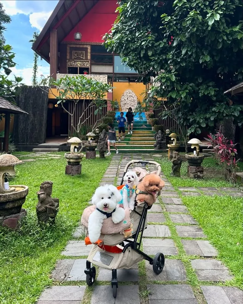 烏布雨林峇里島主題餐廳