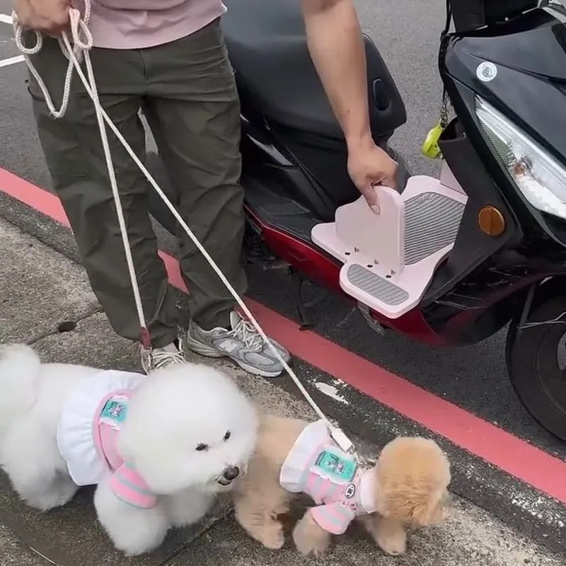 Waa兜不累寵物踏板
