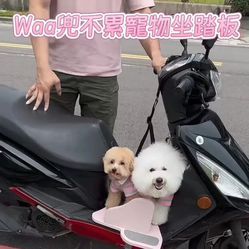 Waa兜不累寵物踏板