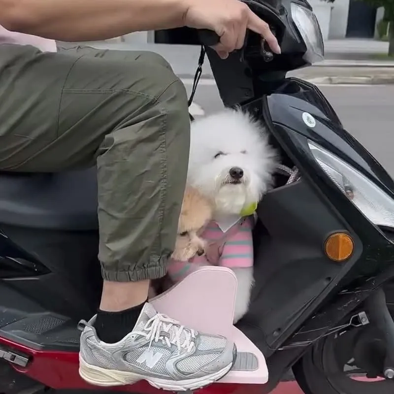 Waa兜不累寵物踏板