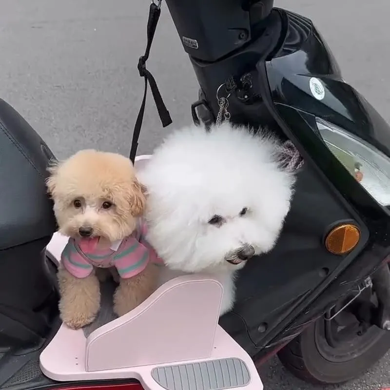 Waa兜不累寵物踏板
