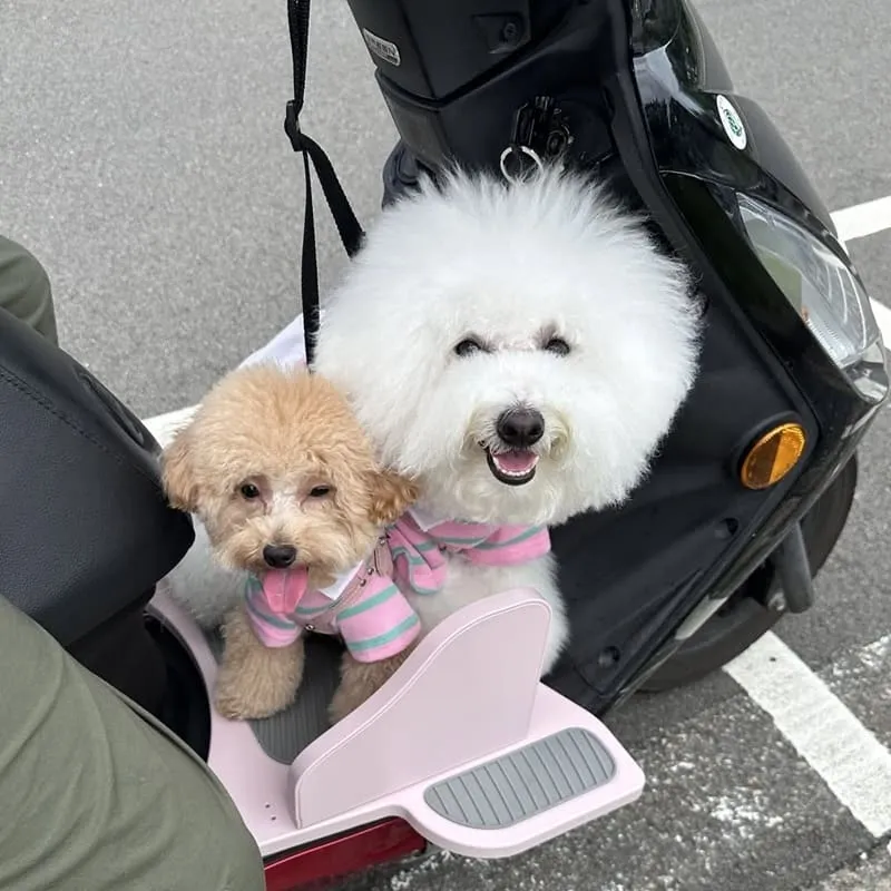 Waa兜不累寵物踏板