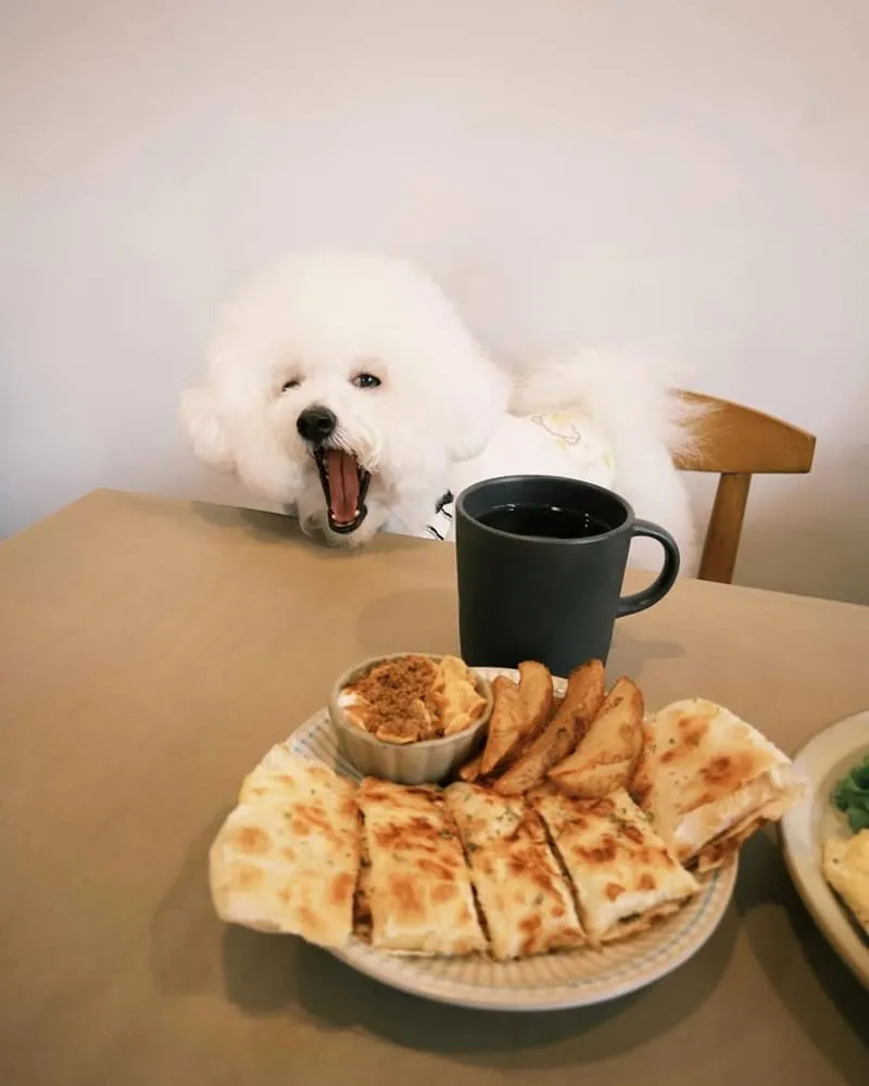 早點起床嘉義早午餐