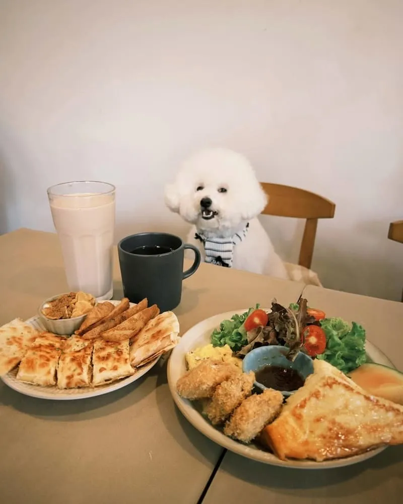 早點起床嘉義早午餐