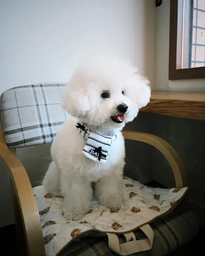 早點起床嘉義早午餐