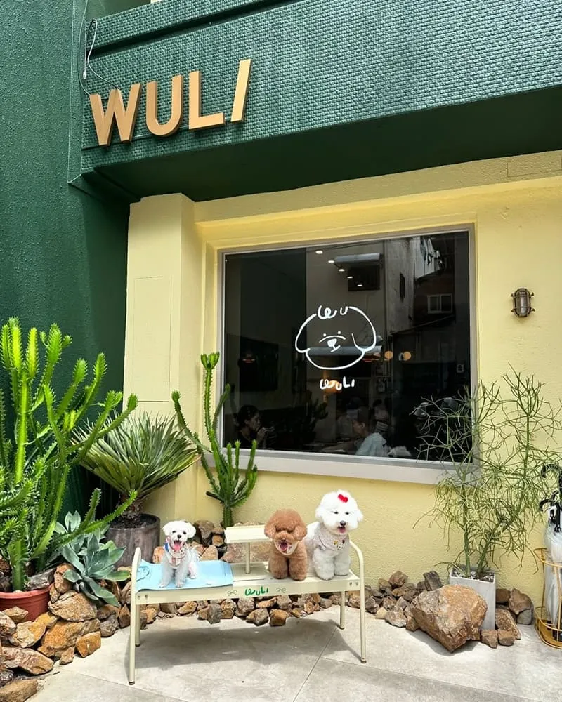 台中無理WULI寵物友善