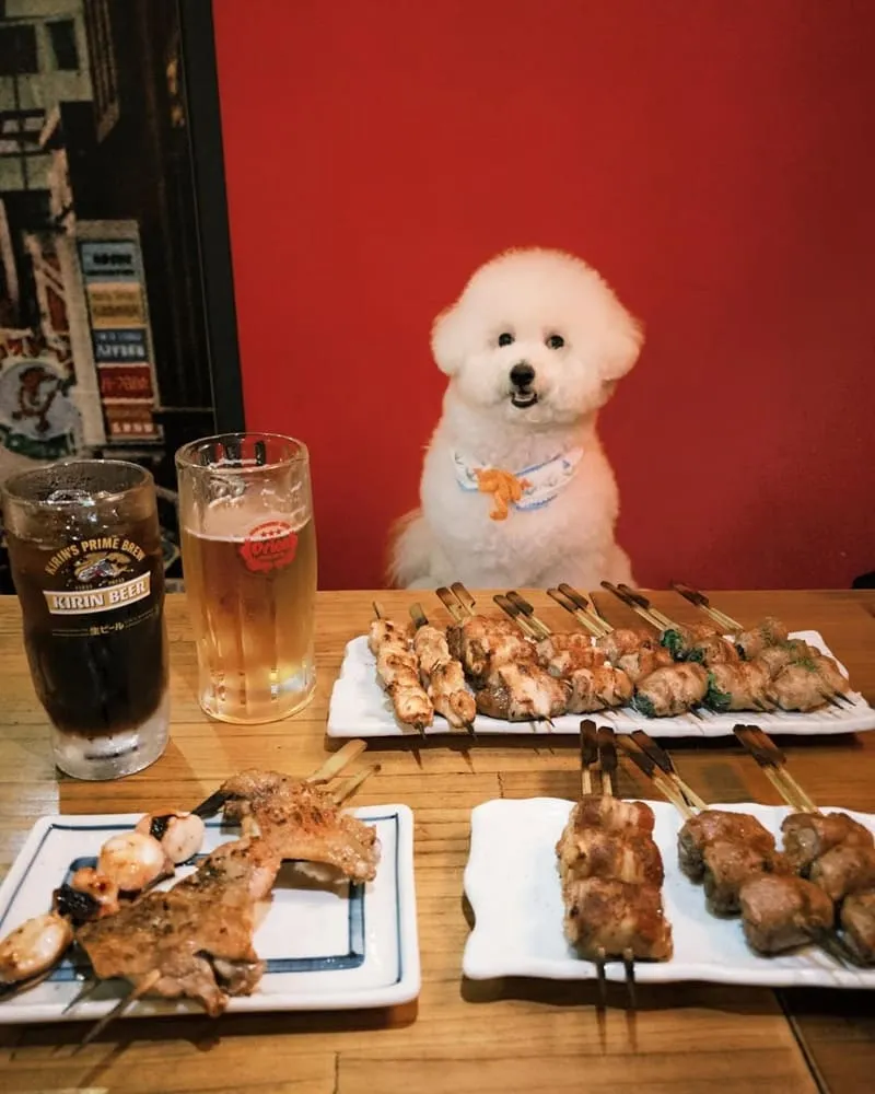 嘉義一鳥一炭