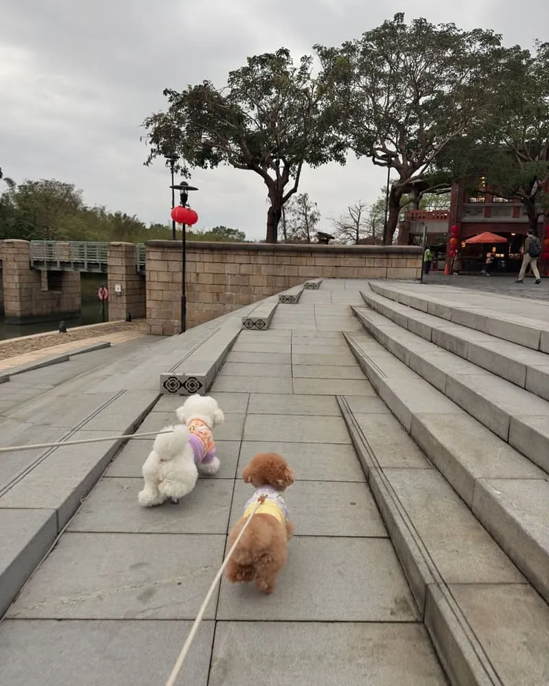 宜蘭傳藝園區