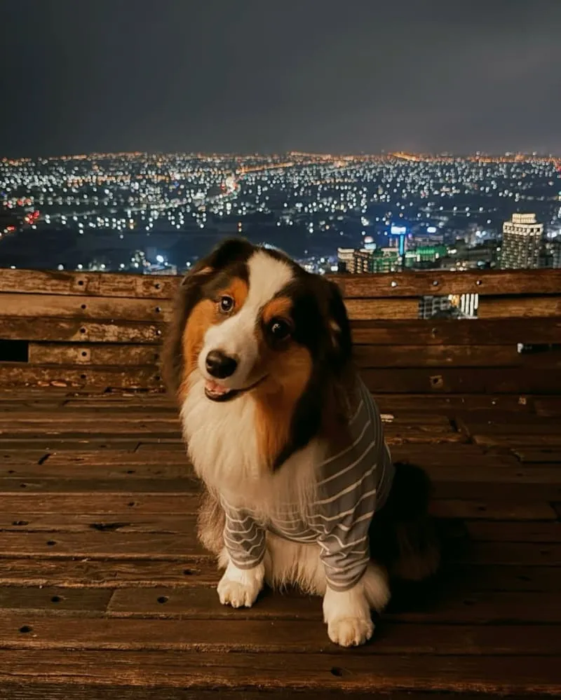 宜蘭空ㄟ農場