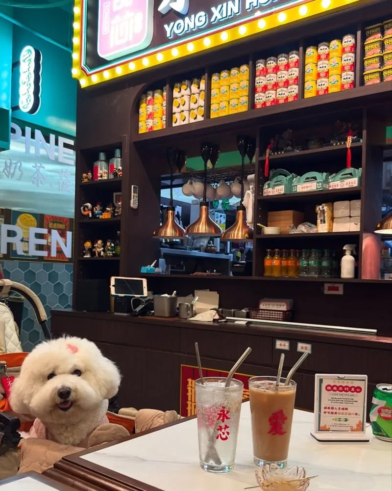 永芯茶檔茶餐廳南平店