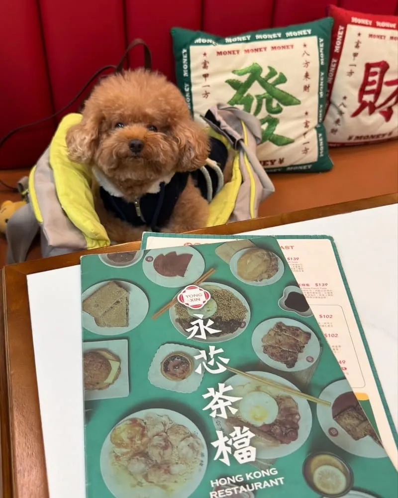 永芯茶檔茶餐廳南平店
