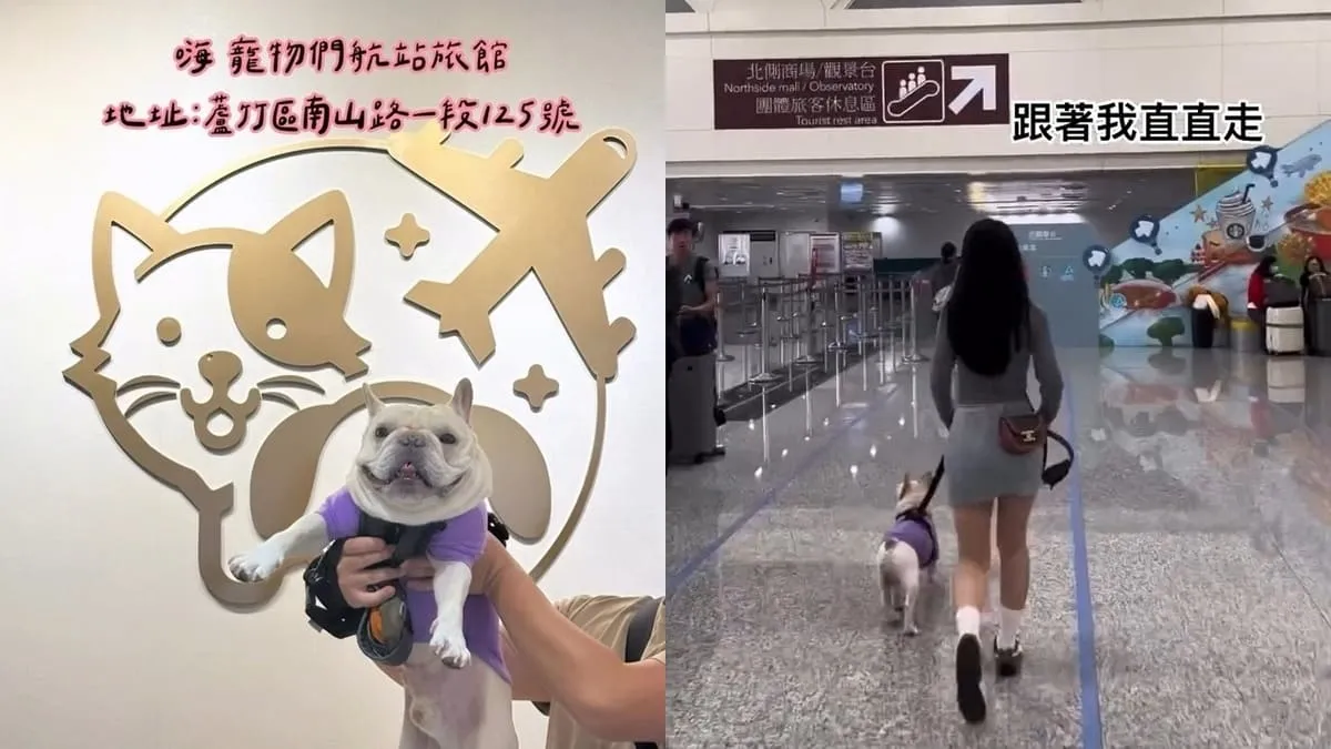 嗨寵物們航站
