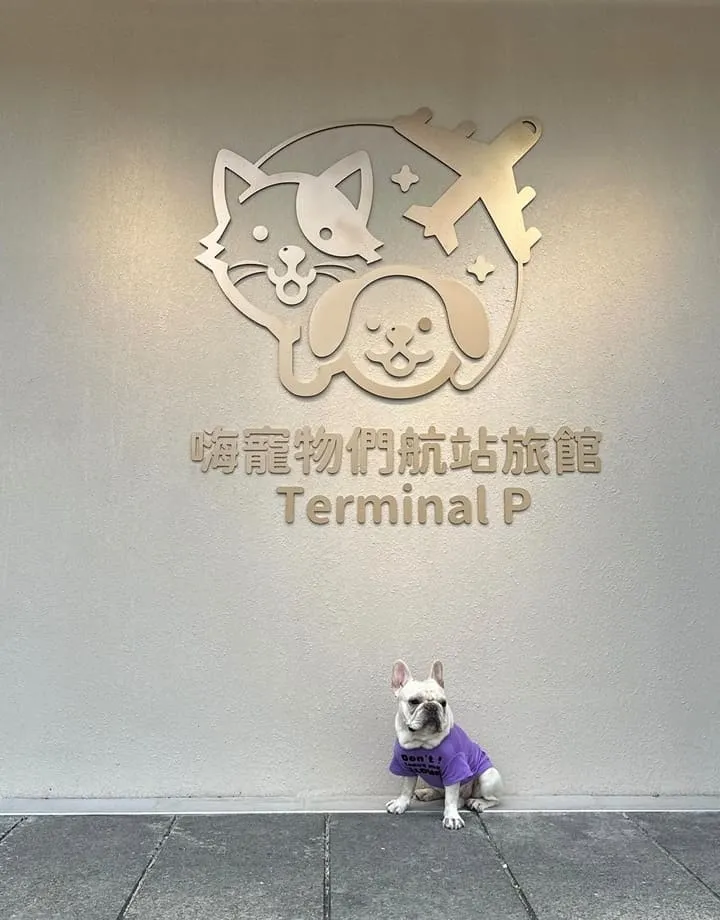 嗨寵物們航站