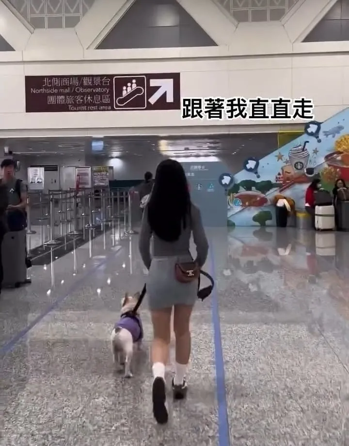 嗨寵物們航站