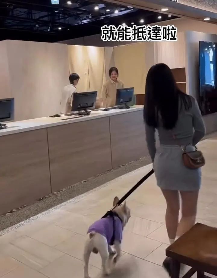 嗨寵物們航站