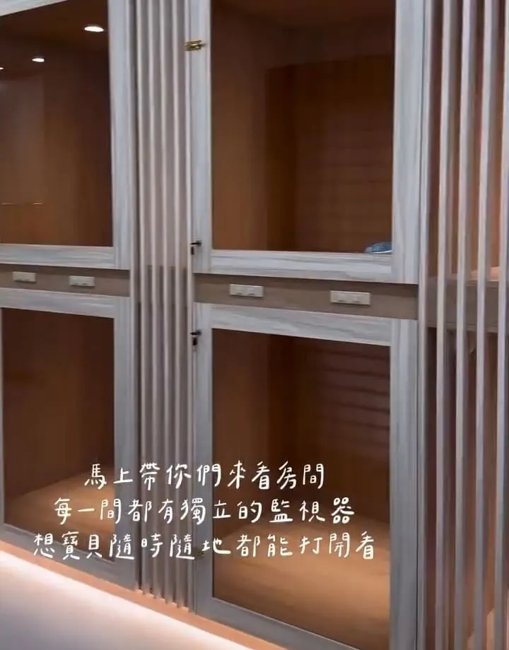 嗨寵物們航站
