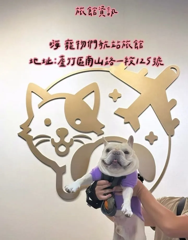 嗨寵物們航站
