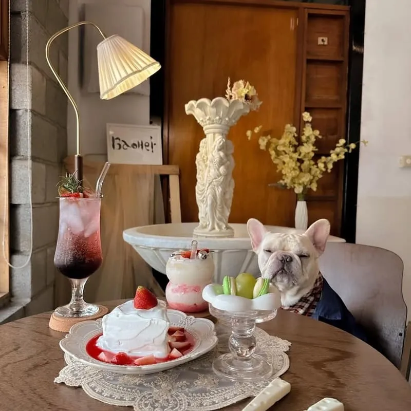 包盒BaOHe’r 員林甜點