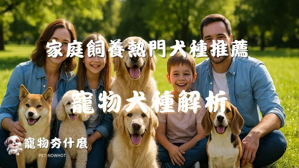 寵物犬種解析