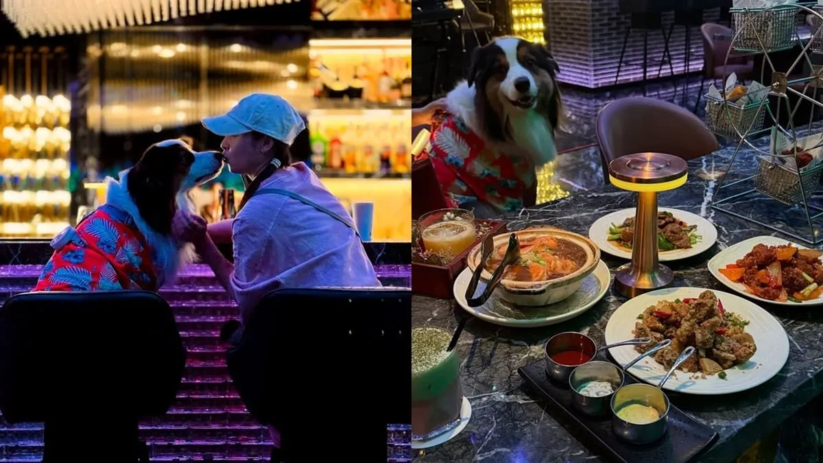 黑十餐酒館