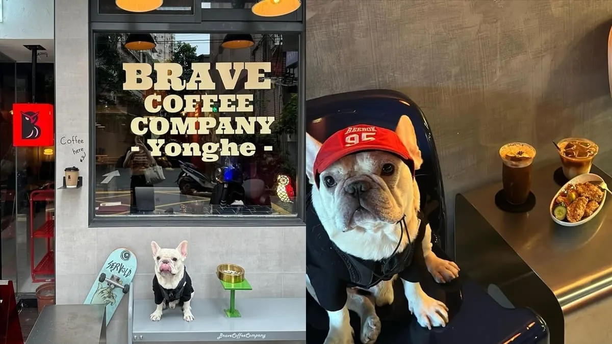 咖啡 梟 Brave Coffee Company