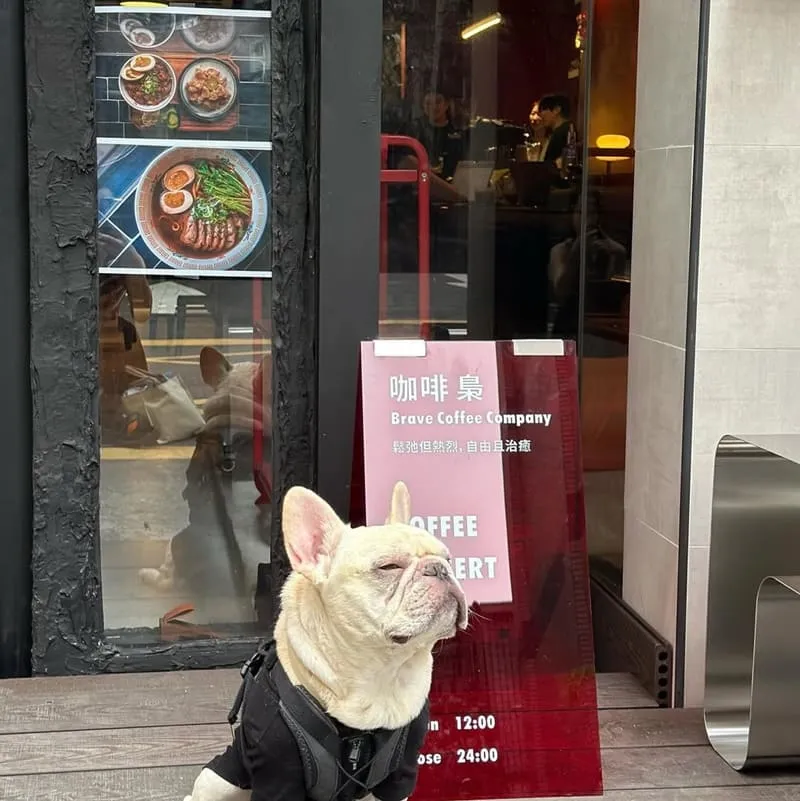 咖啡 梟 Brave Coffee Company