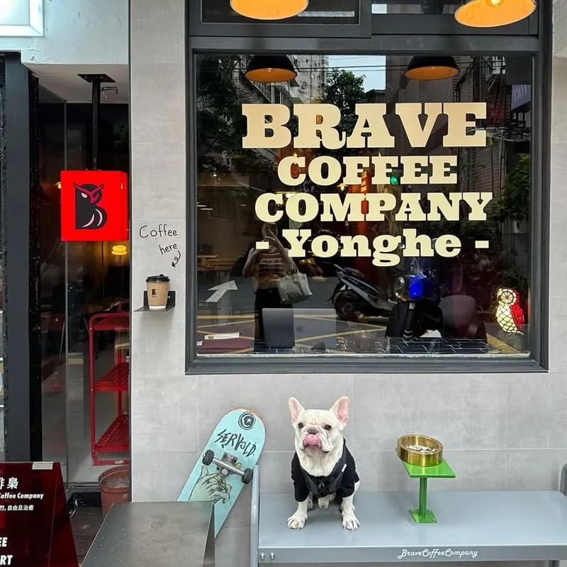 咖啡 梟 Brave Coffee Company