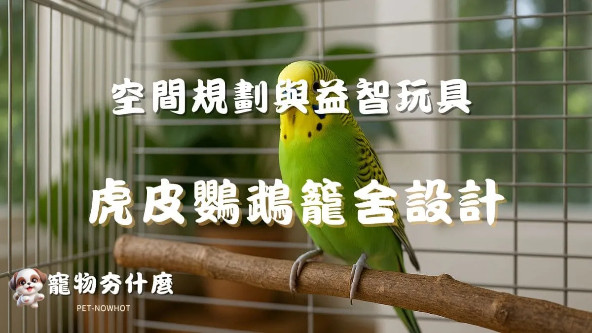 虎皮鸚鵡籠舍設計
