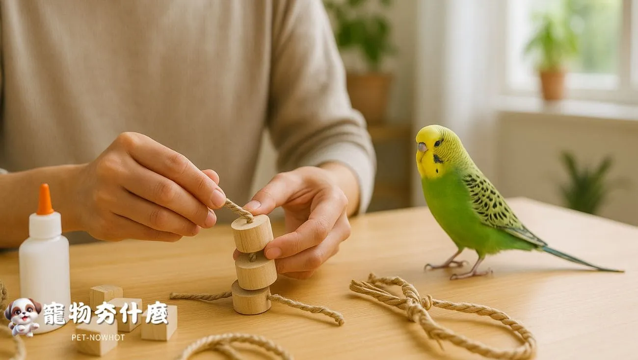 台灣飼主手作虎皮鸚鵡玩具