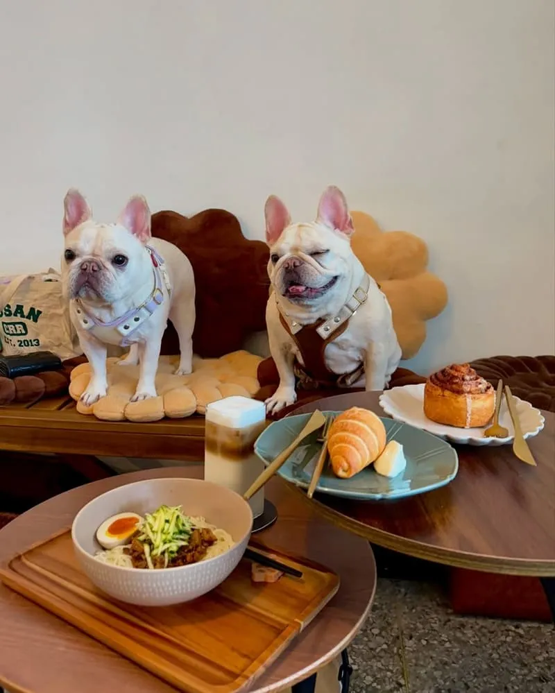 咖所Castle Coffee Studio