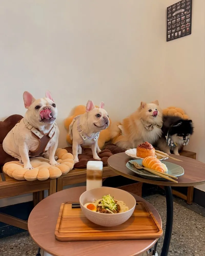 咖所Castle Coffee Studio