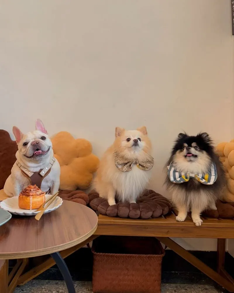 咖所Castle Coffee Studio