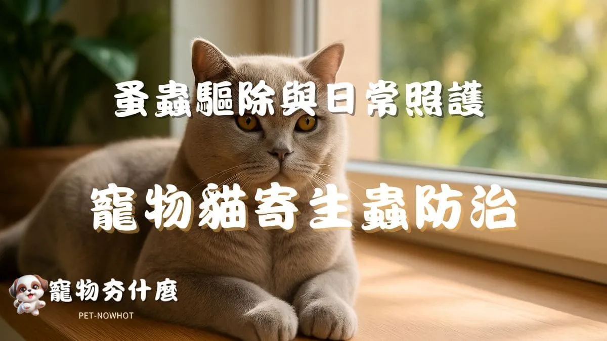 寵物貓寄生蟲防治