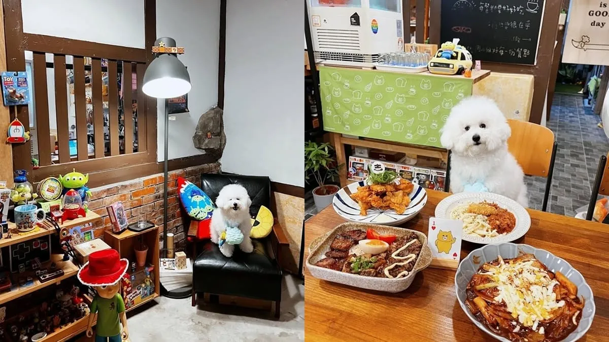 吉wow wow深夜小料理