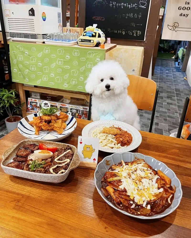 吉wow wow深夜小料理