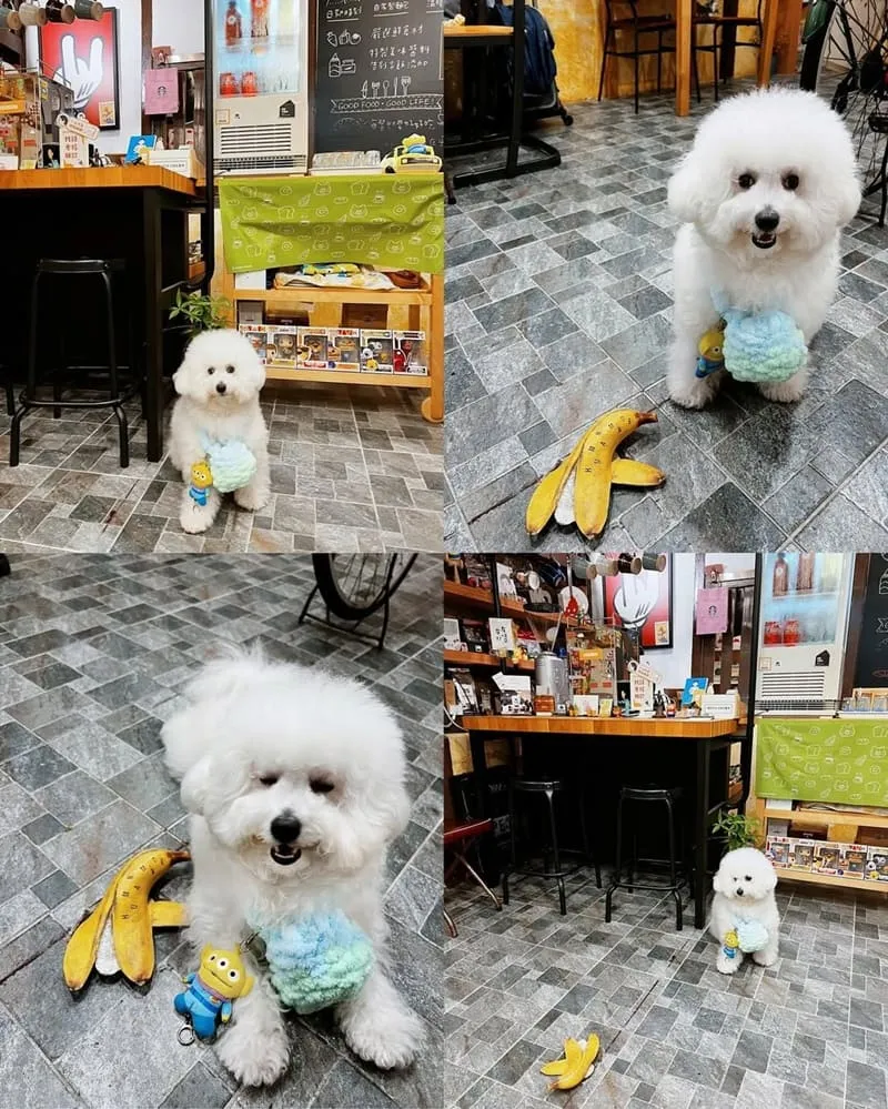 吉wow wow深夜小料理
