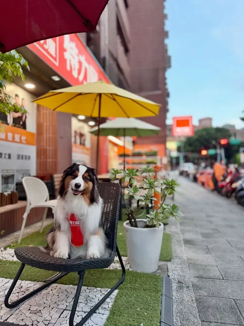 特力屋大安安和店