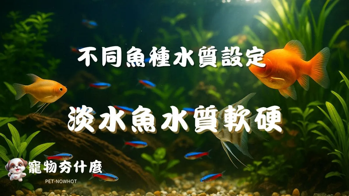 淡水魚水質軟硬調整教學