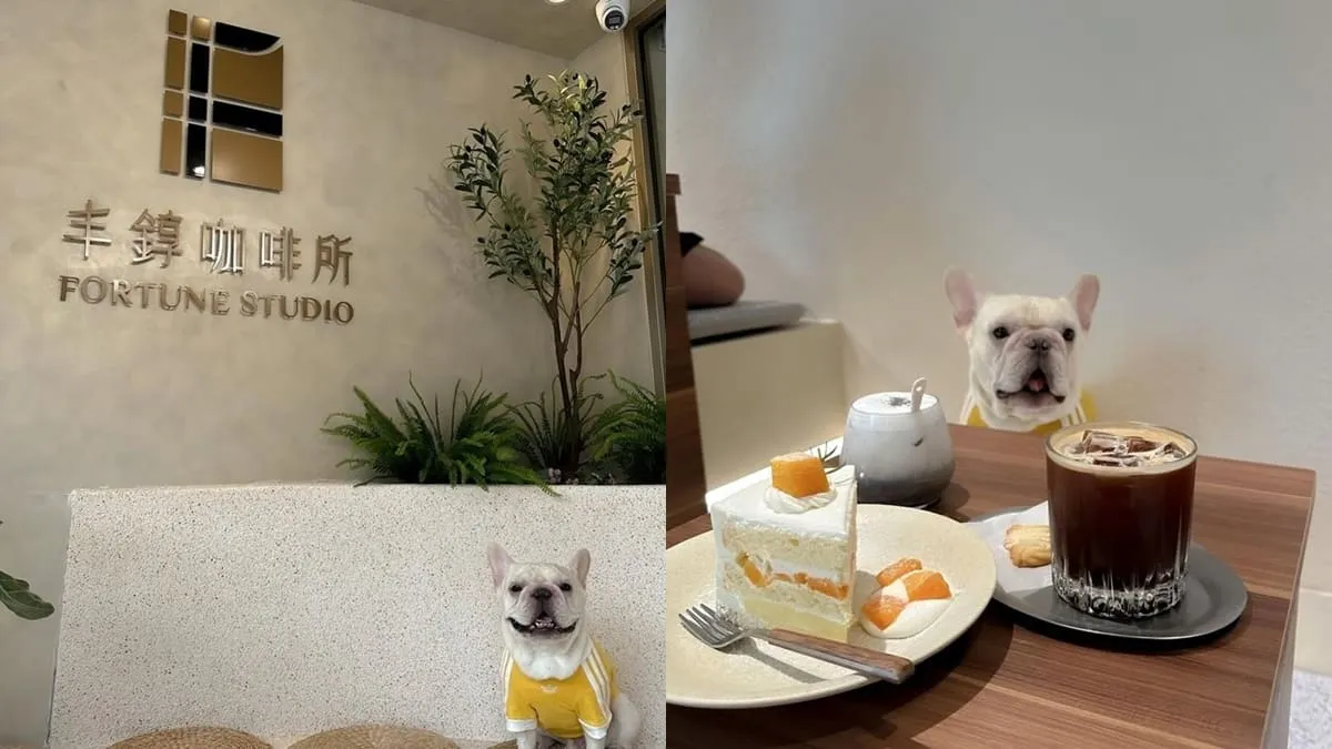 丰錞咖啡所 Fortune Studio