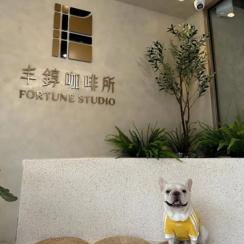 丰錞咖啡所 Fortune Studio