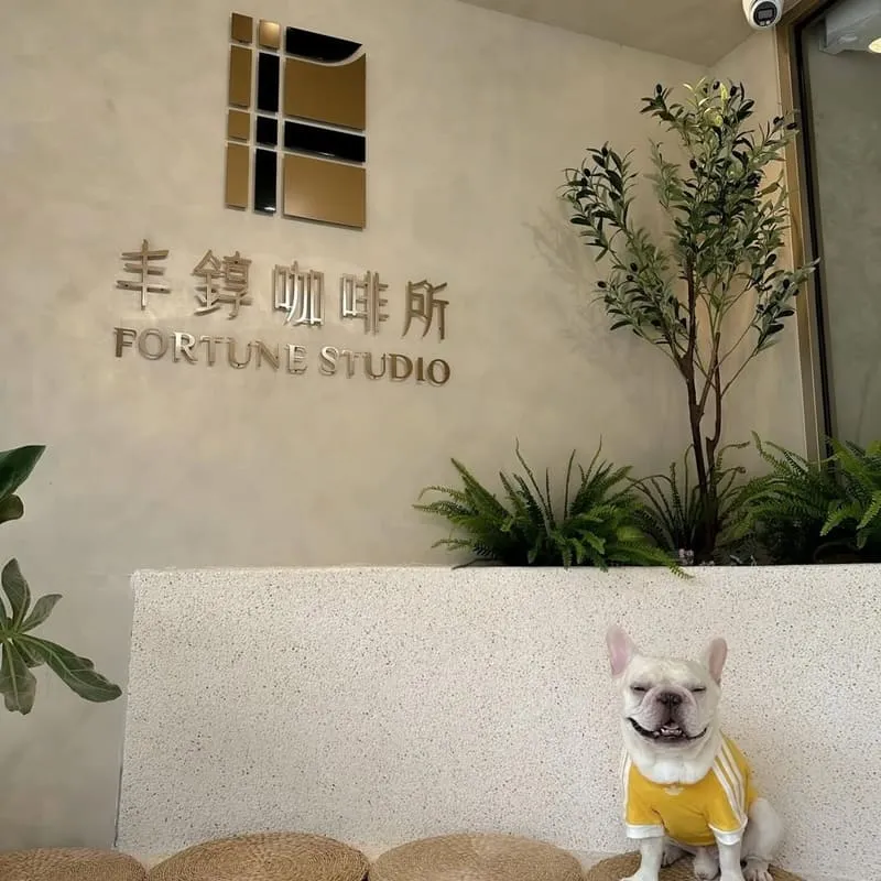 丰錞咖啡所 Fortune Studio
