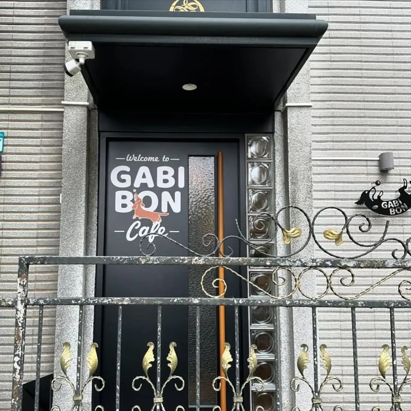 GABI BON