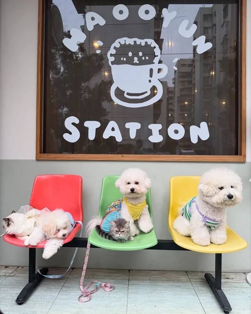好運站Haooyun Station