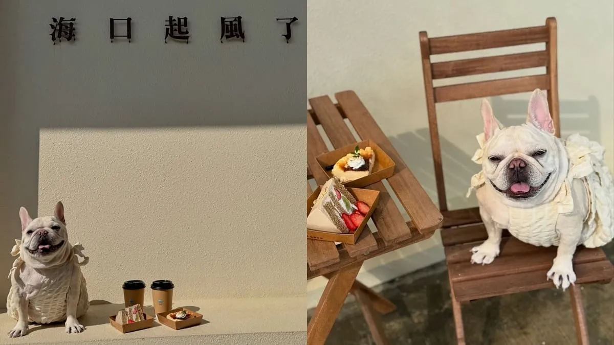 HiCo.Chiffon 海口起風