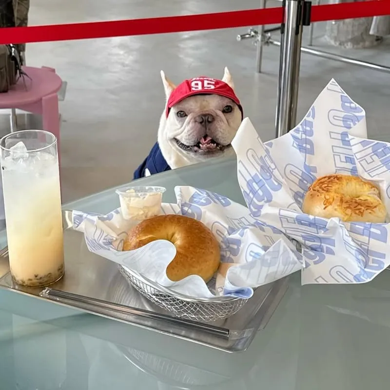 Jello Bagel 新竹貝果