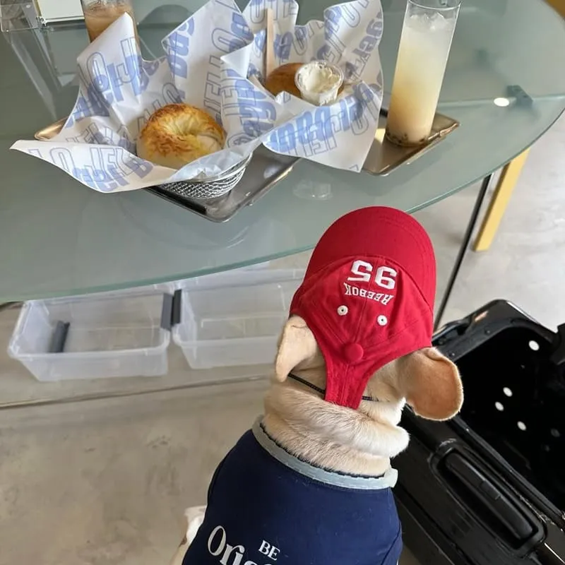 Jello Bagel 新竹貝果